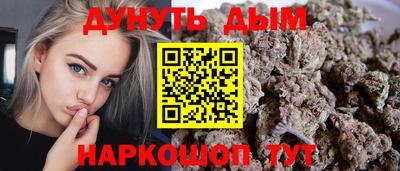 индика Жуковский