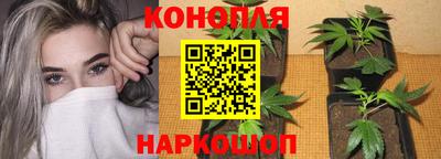 МДМА Заводоуковск